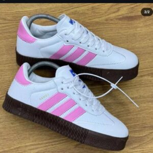 whatsapp image 2026 01 12 at 5.11.47 pm